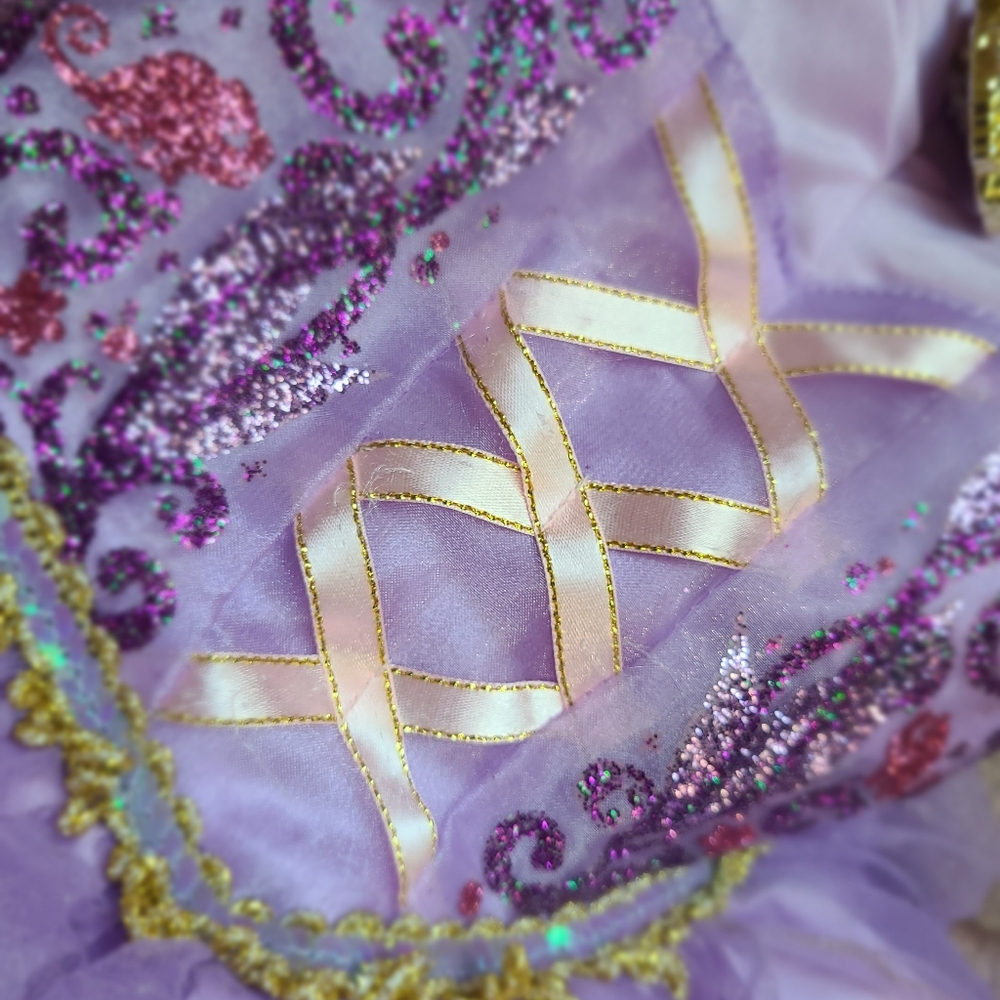 2010 Disney Store Disney Princess Tangled Dress (S 4-6x) Iridescent Sleeves